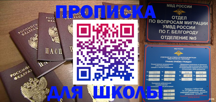 прописка гарантия в Электрогорске